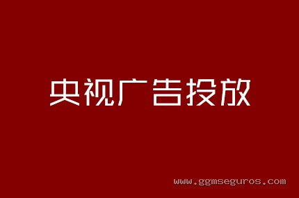 央视广告投放